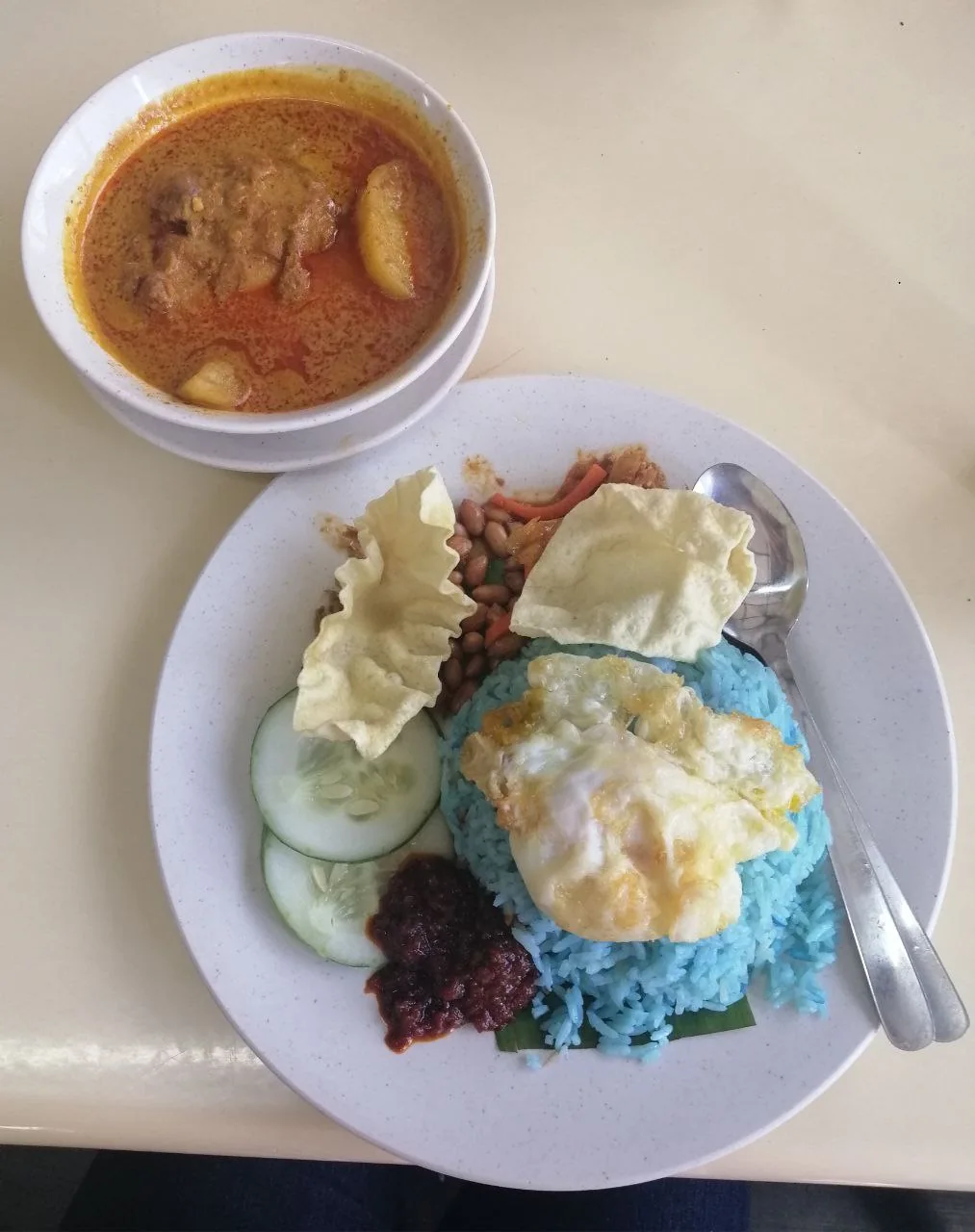 Malaysian chicken curry