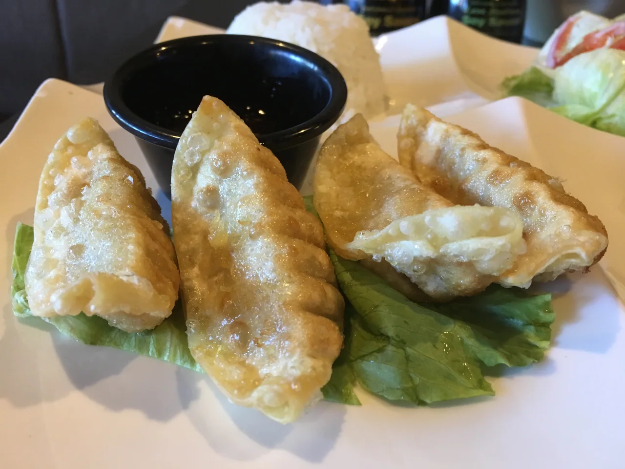 Gyozas de porco e couve
