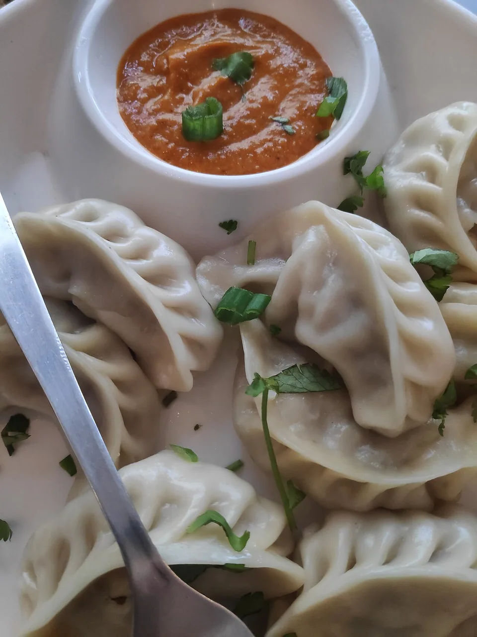 Nepali steamed chicken momos
