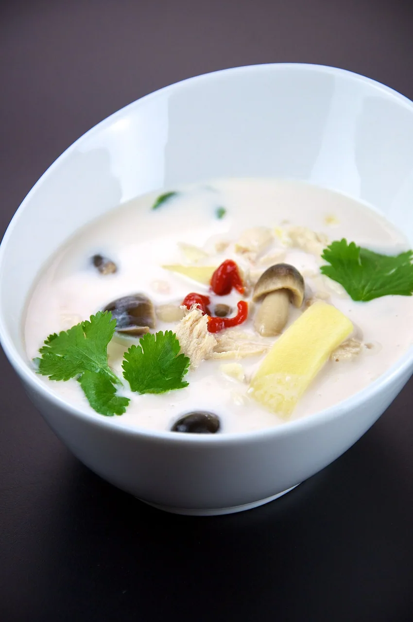 Thai chicken and coconut soup