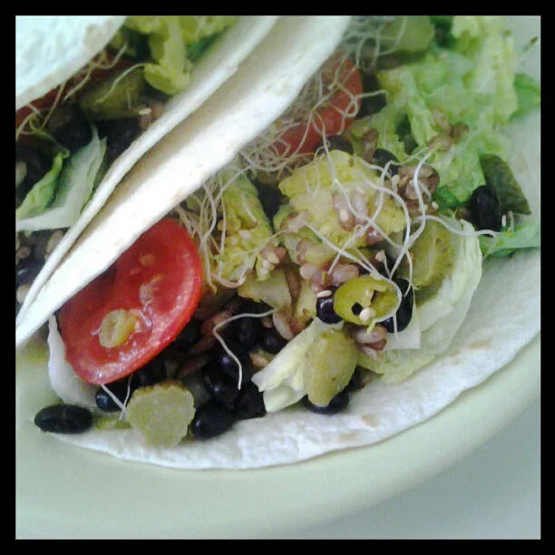 Tacos de feijão-preto